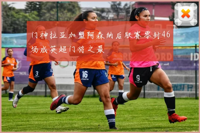 门神拉亚加盟阿森纳后联赛零封46场成英超门将之最